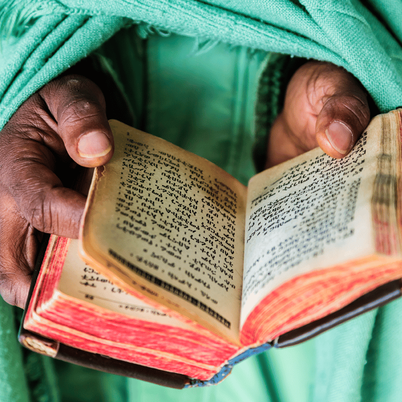 Hands With Bible